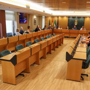 El Consejo Municipal de Comercio y Serviciosse reúne para avanzar en el Diagnóstico y el Plan Estratégico de El Ejido para fortalecer el sector