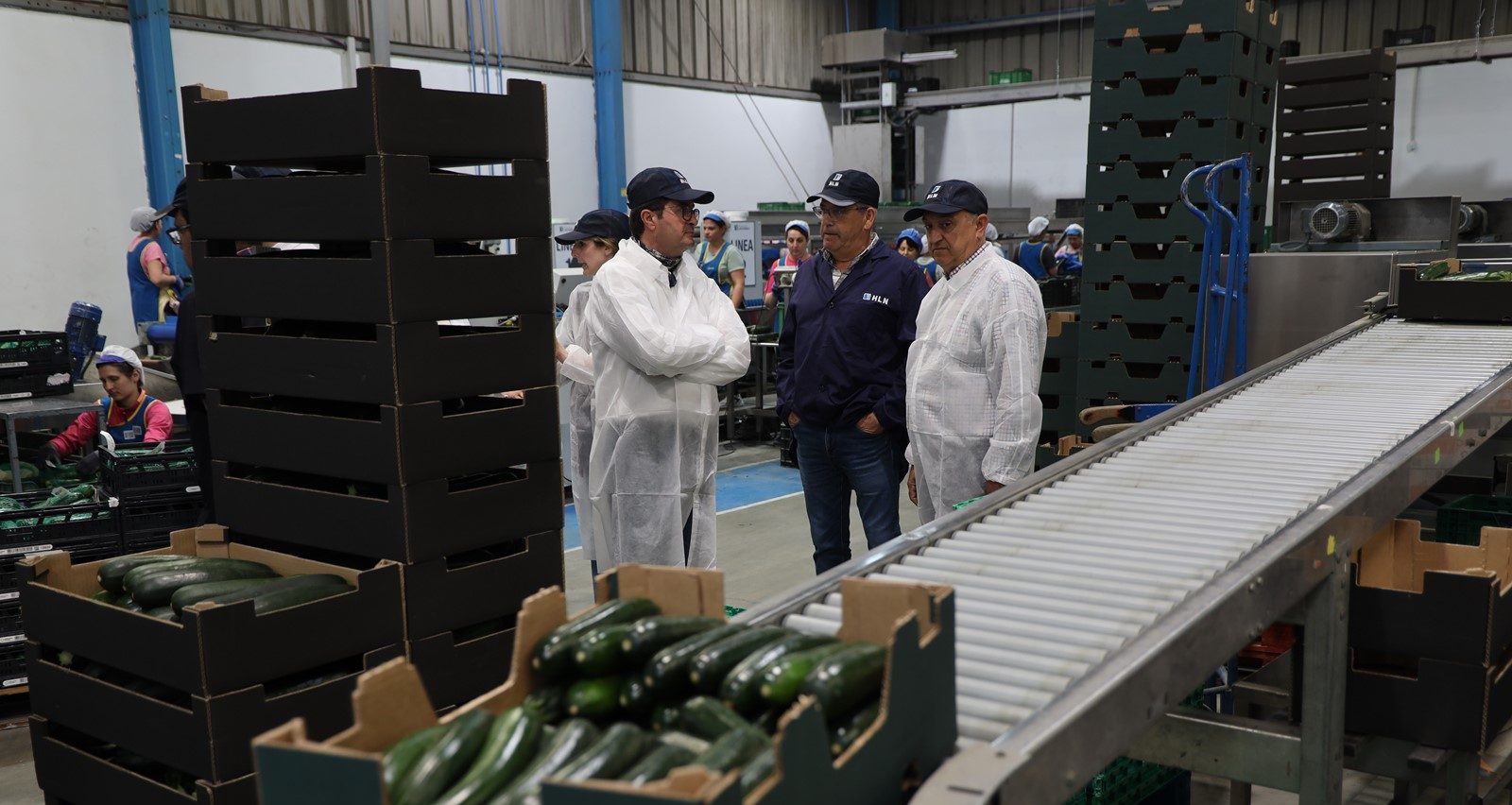 El alcalde visita Hortofrutícola Las Norias, el mayor exportador de calabacín de Europa