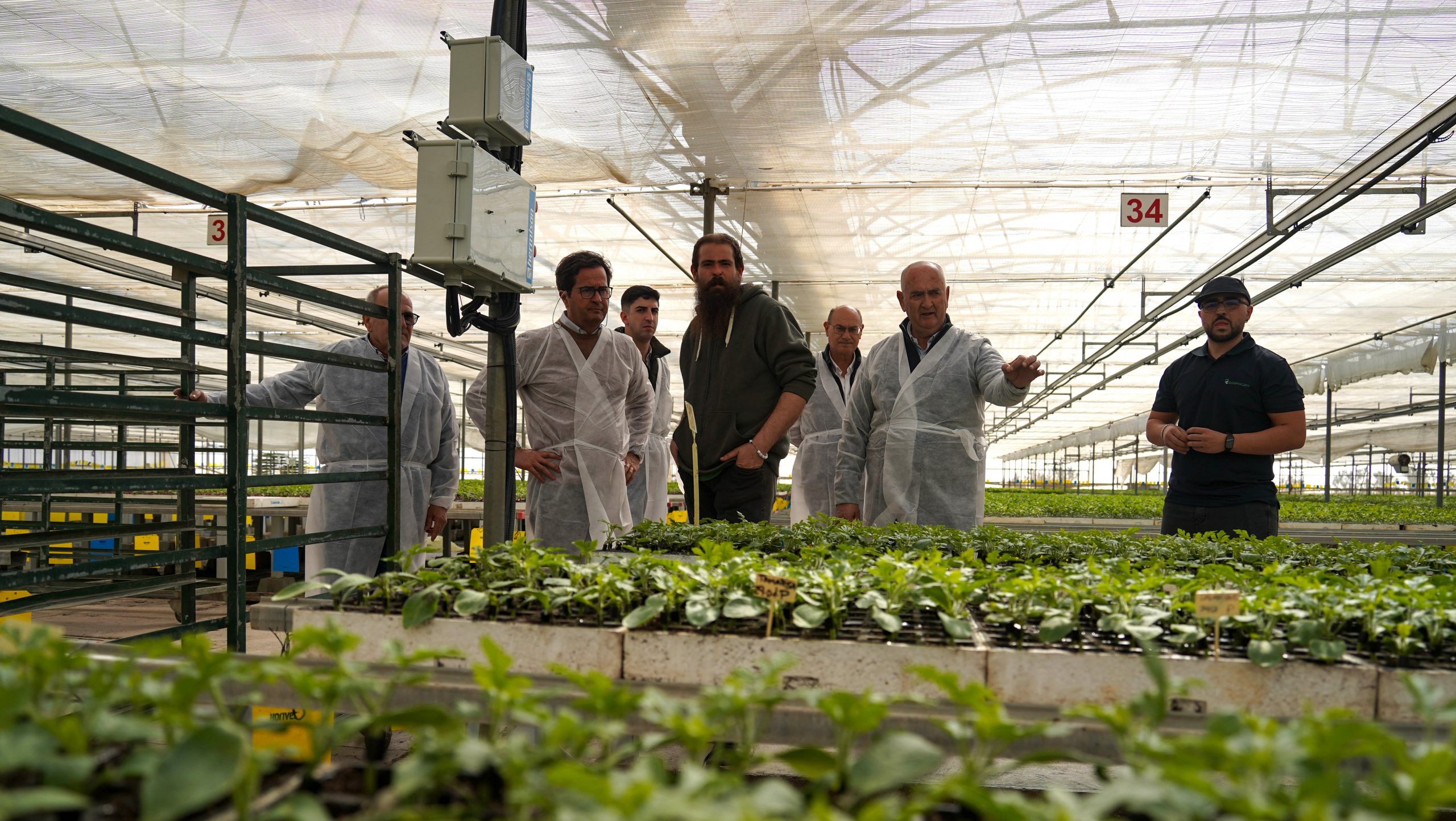 La campaña de primavera arranca en el campo ejidense con el inicio del trasplante de las primeras sandías