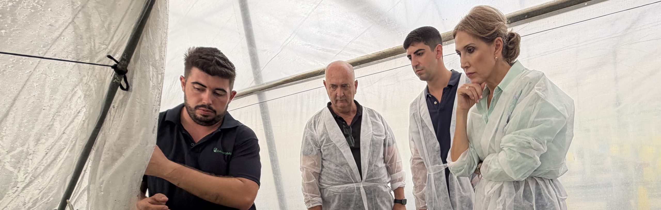 El semillero de Campoejido a pleno rendimiento de cara al inicio de la nueva campaña agrícola garantizando al agricultor una planta de calidad