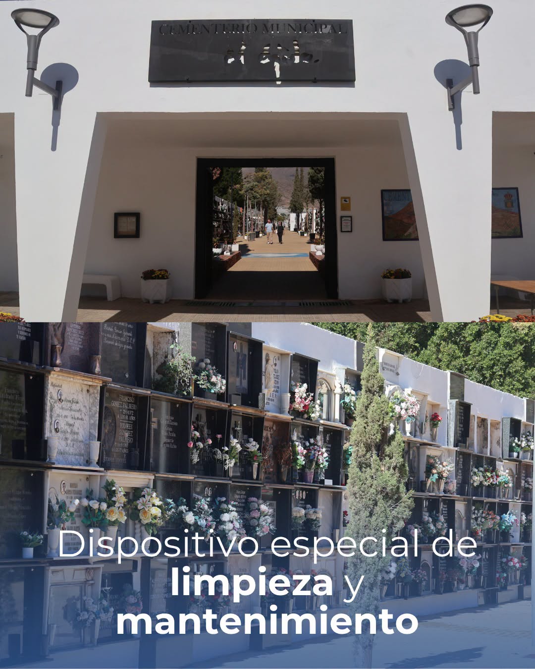 El Ayuntamiento de El Ejido pone a punto los cementerios municipales con un amplio dispositivo de limpieza, mantenimiento y embellecimiento de cara a Todos los Santos.